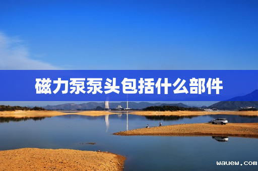 磁力泵泵头包括什么部件 磁力泵泵头包括什么部件