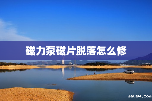 磁力泵磁片脱落怎么修 磁力泵磁片脱落怎么修