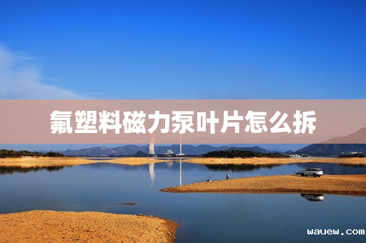 氟塑料磁力泵叶片怎么拆 氟塑料磁力泵叶片怎么拆