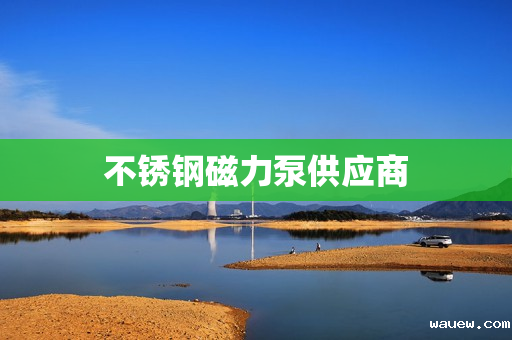 不锈钢磁力泵供应商 不锈钢磁力泵供应商