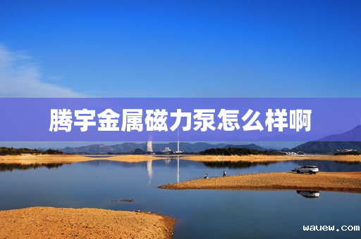腾宇金属磁力泵怎么样啊 腾宇金属磁力泵怎么样啊