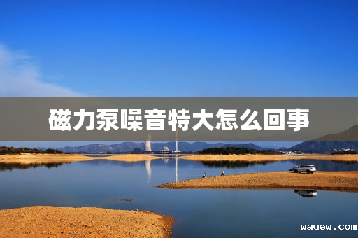 磁力泵噪音特大怎么回事 磁力泵噪音特大怎么回事