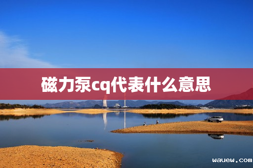 磁力泵cq代表什么意思 磁力泵cq代表什么意思