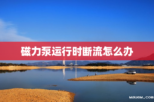 磁力泵运行时断流怎么办 磁力泵运行时断流怎么办