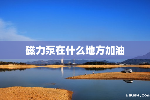 磁力泵在什么地方加油 磁力泵在什么地方加油