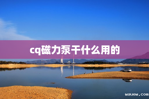 cq磁力泵干什么用的 cq磁力泵干什么用的