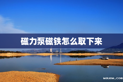 磁力泵磁铁怎么取下来 磁力泵磁铁怎么取下来