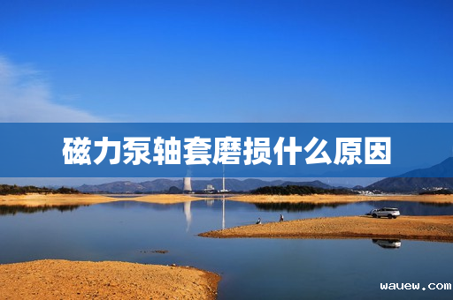 磁力泵轴套磨损什么原因 磁力泵轴套磨损什么原因