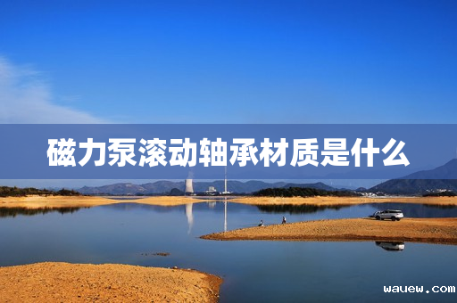 磁力泵滚动轴承材质是什么 磁力泵滚动轴承材质是什么