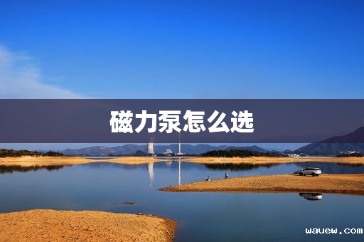 磁力泵怎么选 磁力泵怎么选