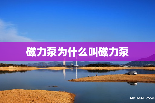 磁力泵为什么叫磁力泵 磁力泵为什么叫磁力泵