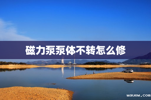 磁力泵泵体不转怎么修 磁力泵泵体不转怎么修