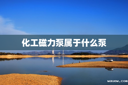 化工磁力泵属于什么泵 化工磁力泵属于什么泵