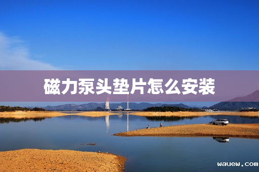 磁力泵头垫片怎么安装 磁力泵头垫片怎么安装