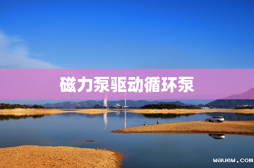 磁力泵驱动循环泵 磁力泵驱动循环泵