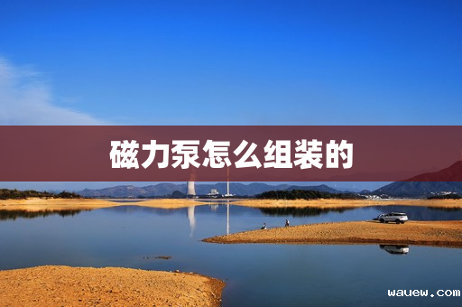 磁力泵怎么组装的 磁力泵怎么组装的