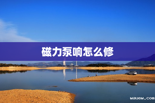 磁力泵响怎么修 磁力泵响怎么修