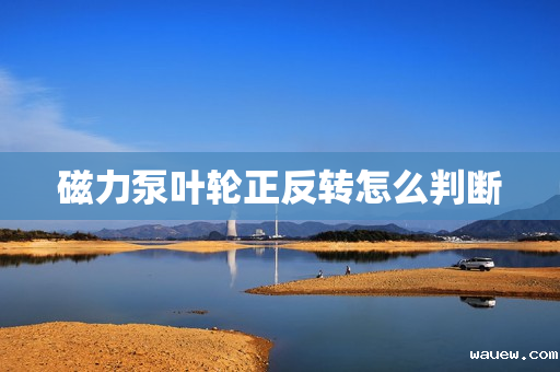 磁力泵叶轮正反转怎么判断 磁力泵叶轮正反转怎么判断