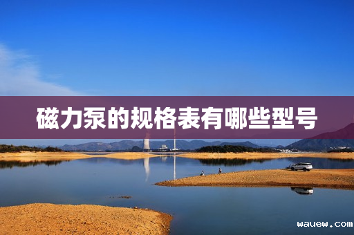 磁力泵的规格表有哪些型号 磁力泵的规格表有哪些型号