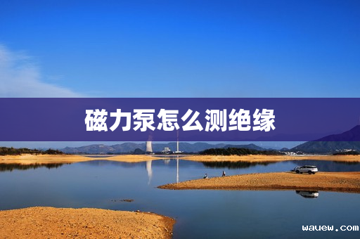 磁力泵怎么测绝缘 磁力泵怎么测绝缘