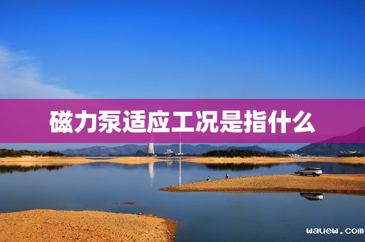 磁力泵适应工况是指什么 磁力泵适应工况是指什么
