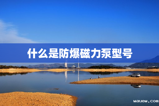 什么是防爆磁力泵型号 什么是防爆磁力泵型号