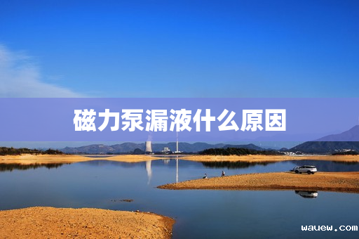 磁力泵漏液什么原因 磁力泵漏液什么原因