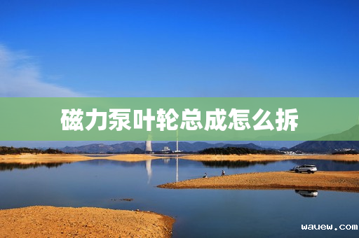 磁力泵叶轮总成怎么拆 磁力泵叶轮总成怎么拆