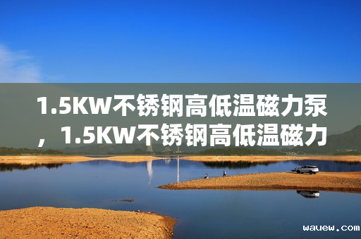 1.5KW不锈钢高低温磁力泵,1.5KW不锈钢高低温磁力泵——高效、稳定的流体输送解决方案 1.5KW不锈钢高低温磁力泵,1.5KW不锈钢高低温磁力泵——高效、稳定的流体输送解决方案