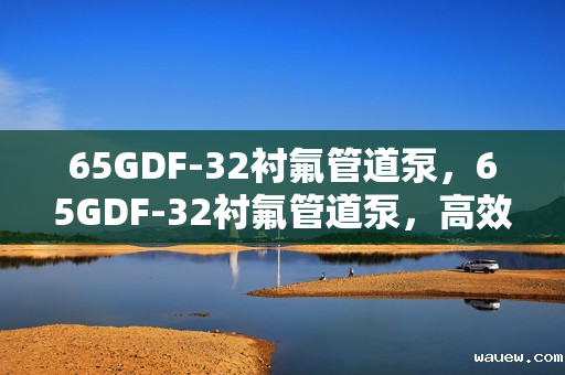 65GDF-32衬氟管道泵,65GDF-32衬氟管道泵,高效、稳定的流体输送解决方案 65GDF-32衬氟管道泵,65GDF-32衬氟管道泵,高效、稳定的流体输送解决方案