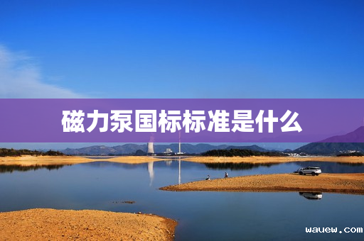 磁力泵国标标准是什么 磁力泵国标标准是什么