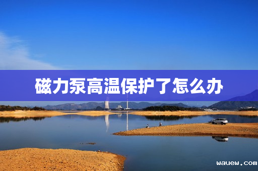 磁力泵高温保护了怎么办 磁力泵高温保护了怎么办