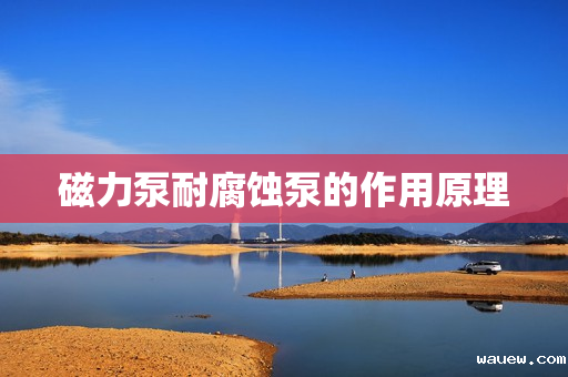 磁力泵耐腐蚀泵的作用原理 磁力泵耐腐蚀泵的作用原理