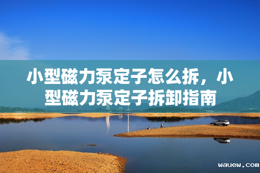 小型磁力泵定子怎么拆,小型磁力泵定子拆卸指南 小型磁力泵定子怎么拆,小型磁力泵定子拆卸指南