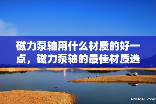 磁力泵轴用什么材质的好一点,磁力泵轴的最佳材质选择 磁力泵轴用什么材质的好一点,磁力泵轴的最佳材质选择