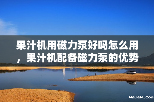 果汁机用磁力泵好吗怎么用,果汁机配备磁力泵的优势及使用方法解析 果汁机用磁力泵好吗怎么用,果汁机配备磁力泵的优势及使用方法解析