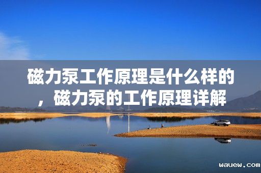磁力泵工作原理是什么样的,磁力泵的工作原理详解 磁力泵工作原理是什么样的,磁力泵的工作原理详解
