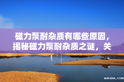 磁力泵耐杂质有哪些原因,揭秘磁力泵耐杂质之谜,关键因素解析 磁力泵耐杂质有哪些原因,揭秘磁力泵耐杂质之谜,关键因素解析