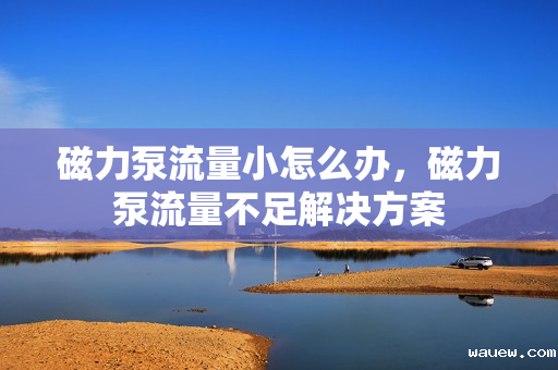 磁力泵流量小怎么办,磁力泵流量不足解决方案 磁力泵流量小怎么办,磁力泵流量不足解决方案