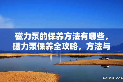 磁力泵的保养方法有哪些,磁力泵保养全攻略,方法与技巧一览 磁力泵的保养方法有哪些,磁力泵保养全攻略,方法与技巧一览