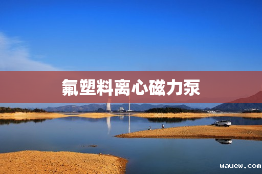 氟塑料离心磁力泵 氟塑料离心磁力泵