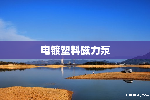 电镀塑料磁力泵 电镀塑料磁力泵