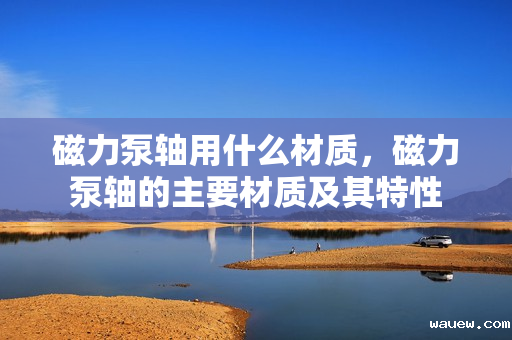 磁力泵轴用什么材质,磁力泵轴的主要材质及其特性 磁力泵轴用什么材质,磁力泵轴的主要材质及其特性