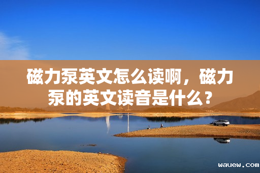 磁力泵英文怎么读啊,磁力泵的英文读音是什么? 磁力泵英文怎么读啊,磁力泵的英文读音是什么?