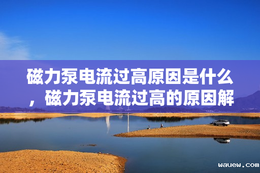 磁力泵电流过高原因是什么,磁力泵电流过高的原因解析 磁力泵电流过高原因是什么,磁力泵电流过高的原因解析