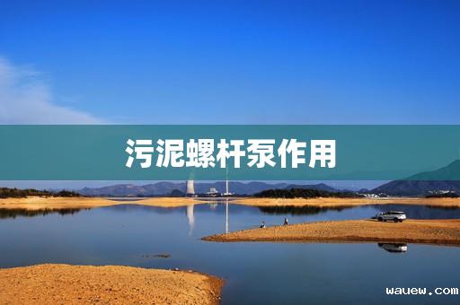 污泥螺杆泵作用 污泥螺杆泵作用