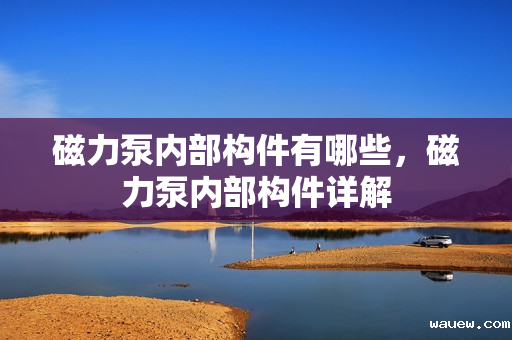 磁力泵内部构件有哪些,磁力泵内部构件详解 磁力泵内部构件有哪些,磁力泵内部构件详解