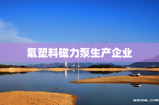 氟塑料磁力泵生产企业 氟塑料磁力泵生产企业