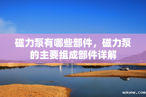 磁力泵有哪些部件,磁力泵的主要组成部件详解 磁力泵有哪些部件,磁力泵的主要组成部件详解