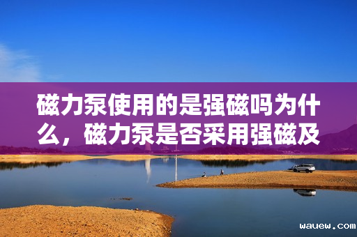 磁力泵使用的是强磁吗为什么，磁力泵是否采用强磁及其原因解析